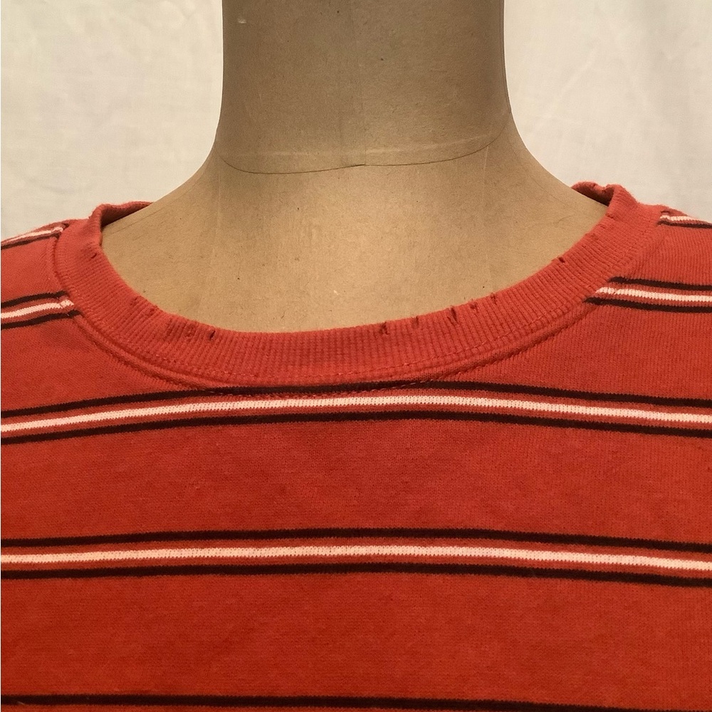 Forever 21 Striped Crop Top with Raw Edged Bottom and Distressed Sleeves/Collar - Picture 4 of 6